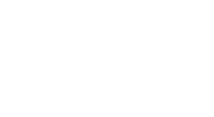 Tozi group logo